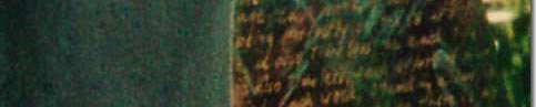 Green #2