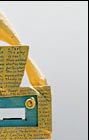 Yellowshrine