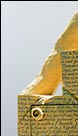 Yellowshrine